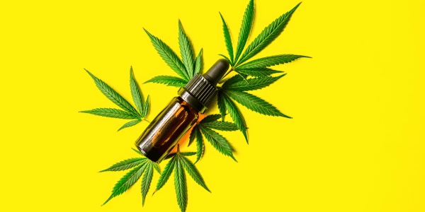 Cannabis Oil for Wound Healing: How It Supports Skin Recovery Naturally