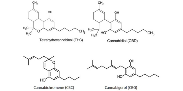 What is CBC? Exploring the Hidden Power of Cannabichromene