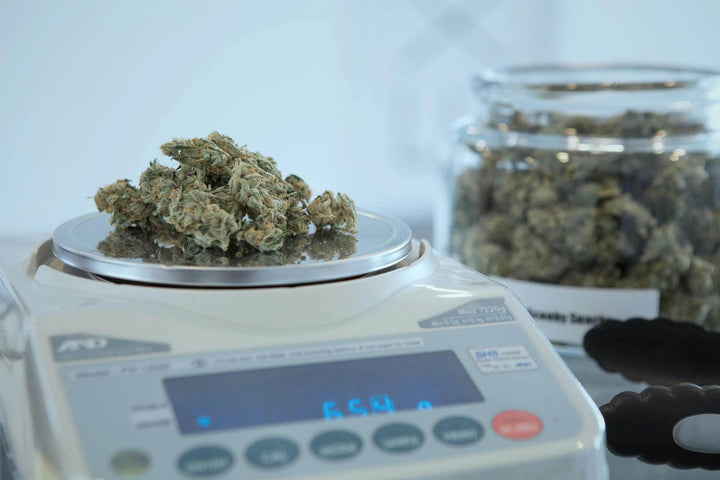 The Ultimate Guide to Cannabis Measurements