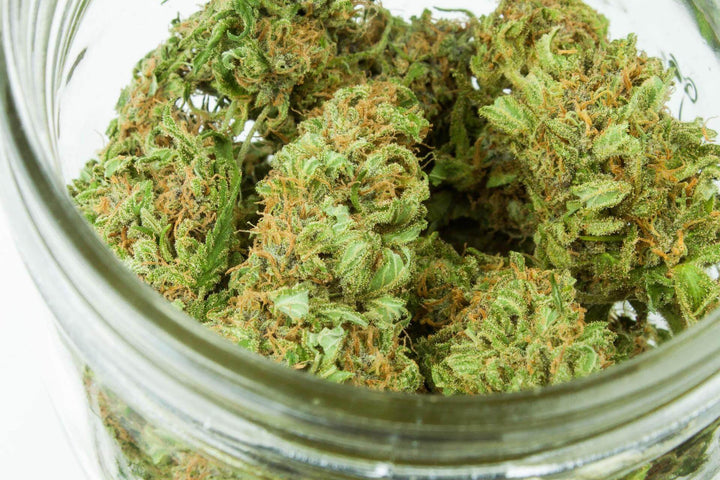 cannabis hemp in a jar E1011 Labs