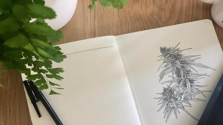 Photo of a journal on a wooden table with a line drawing of the hemp plant. From e1011 Labs' page "What is Hemp"..